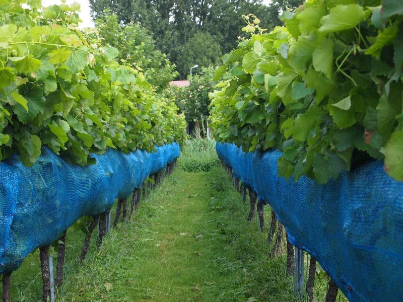 Spécialiste des filets pour vignes
