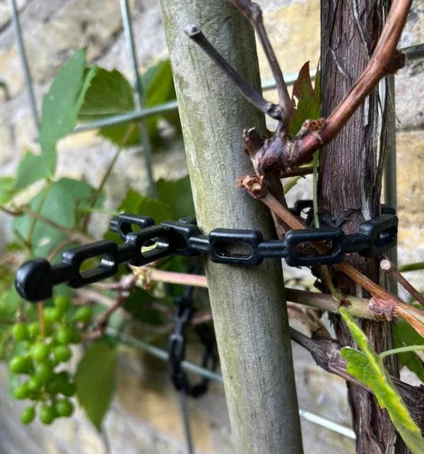 Chaîne à raisin Noire 50 cm, 3 pièces - Filets-vignes