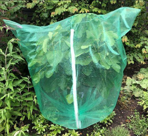 Housse de protection Berry | 150 x 150 cm avec fermeture éclair - Filets-vignes