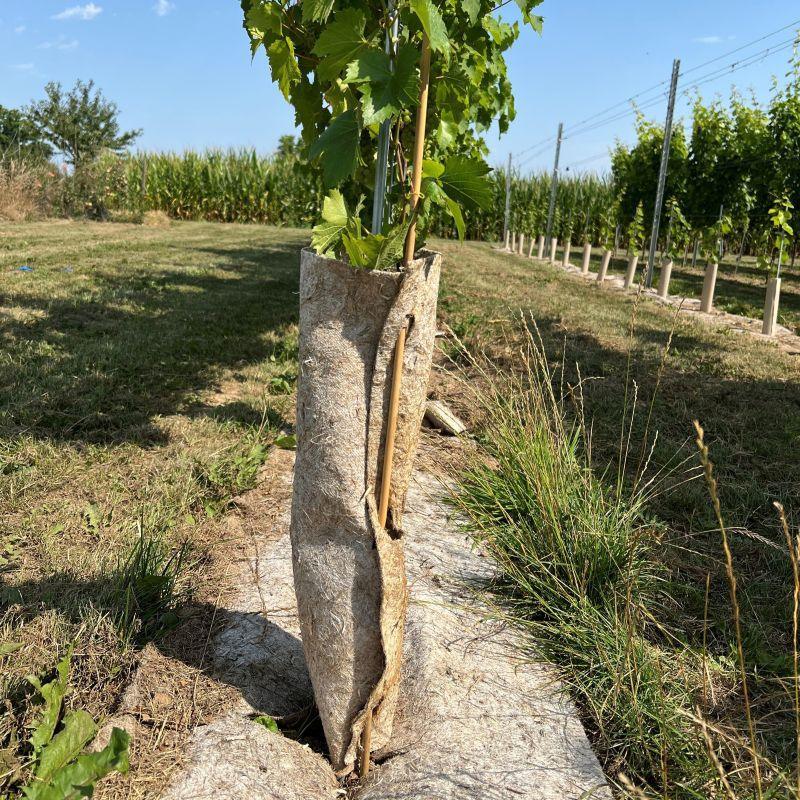Housse de protection en chanvre pour protéger les vignes | biodégradable - Filets-vignes