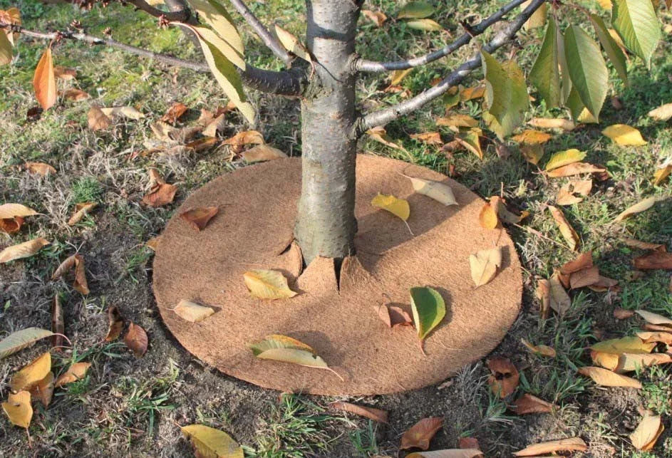 Disques de paillage en jute, 10 pièces, 28 cm - Filets-vignes