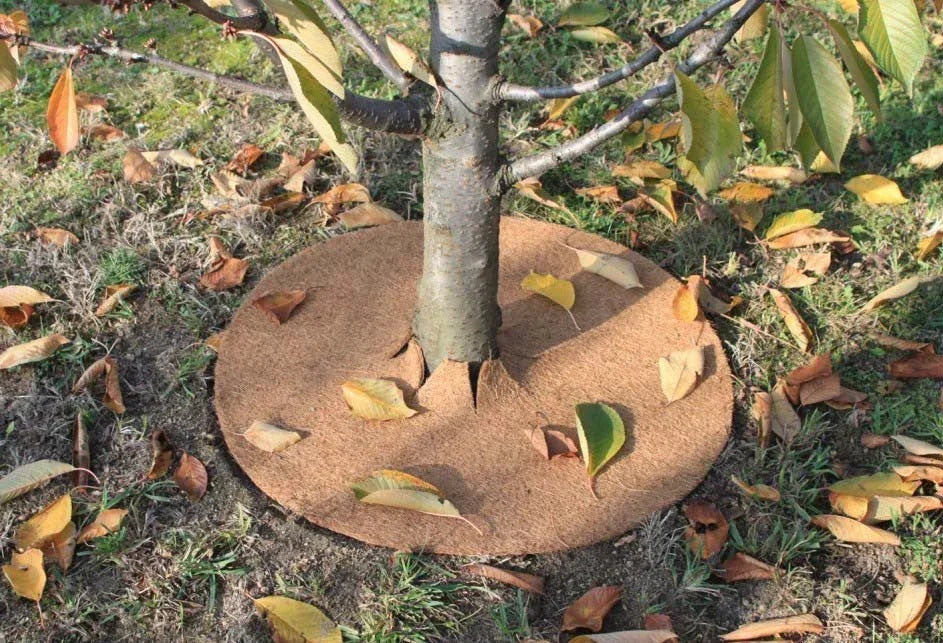 Disques de paillage en jute, 10 pièces, 28 cm - Filets-vignes