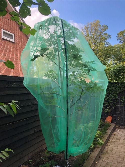 Housse de protection pour arbre fruitier 300 x 300 cm, avec fermeture éclair - Filets-vignes