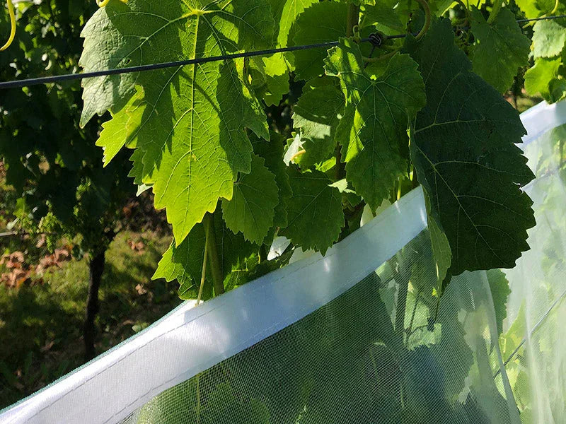 Filet anti-mouches Suzuki avec velcro - Filets-vignes
