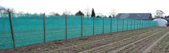 Brise-vent vert - Filets-vignes