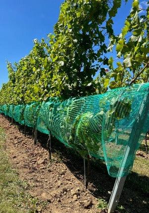 Filet de protection contre les guêpes et la grêle, vert - Filets-vignes