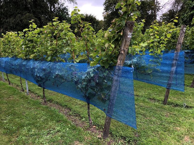 Filet bleu pour la viticulture - Filets-vignes