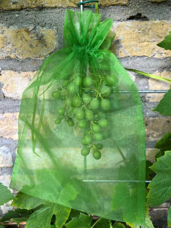 Housse de protection pour raisins | 20x30 cm - verte (25 pièces) - Filets-vignes
