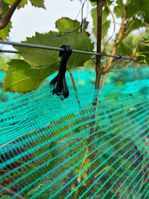 Support pour filet de vigne - Filets-vignes