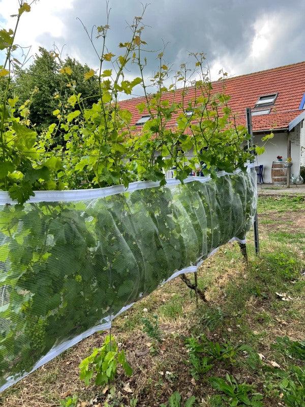 Filet de protection anti-guêpes/grêle avec fermeture Velcro, transparent - Filets-vignes