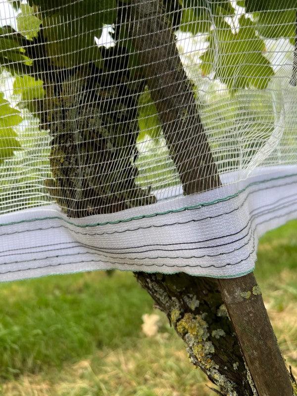 Filet de protection anti-guêpes/grêle avec fermeture Velcro, transparent - Filets-vignes