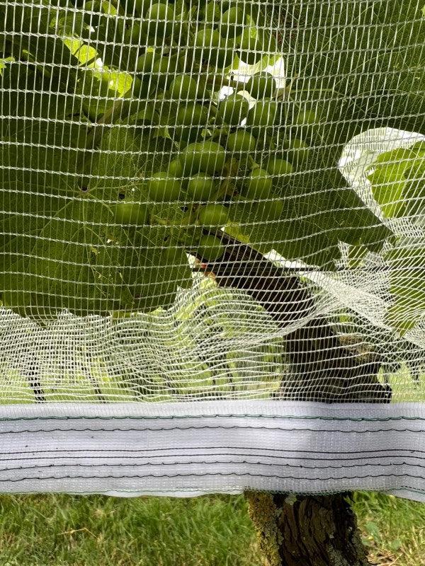 Filet de protection anti-guêpes/grêle avec fermeture Velcro, transparent - Filets-vignes