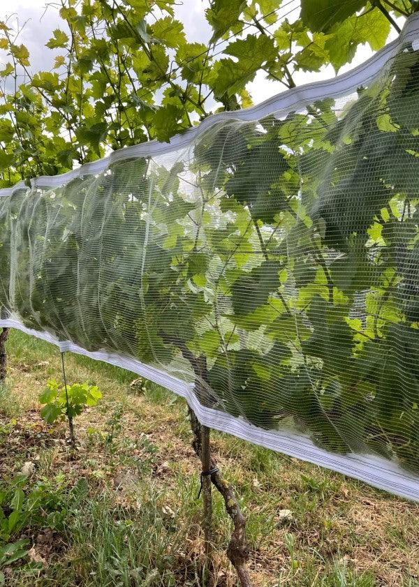Filet de protection anti-guêpes/grêle avec fermeture Velcro, transparent - Filets-vignes