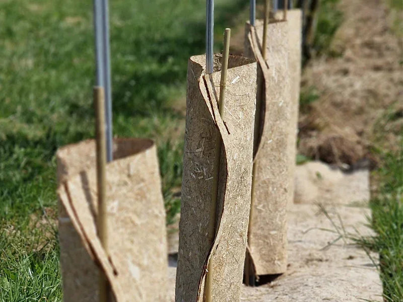 Bâtons de bambou 90 cm x Ø 8/10 mm | Naturels et robustes - Filets-vignes